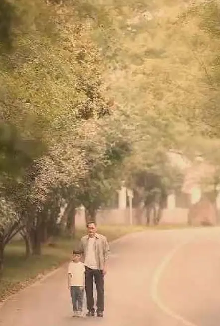 《不装了我是你惹不起的存在》：反转爽剧天花板？小人物逆袭之路！